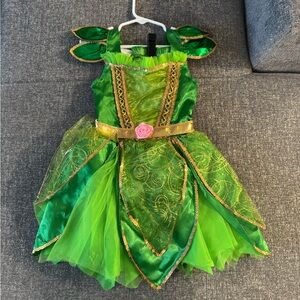 Green Fairy Princess Costume for Kids
